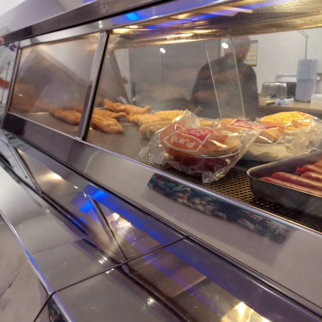 The Friendly Dolphin